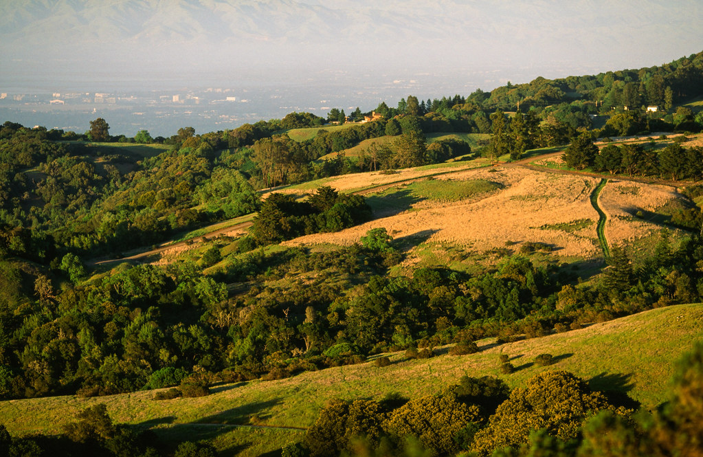 Windy Hill