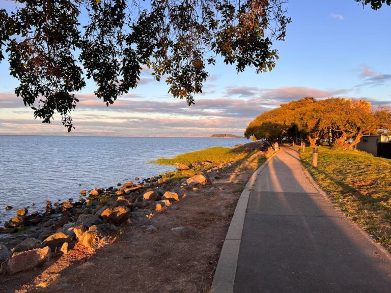 bayfront 768x576