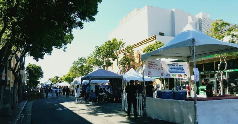 downtown san mateo summerfest san mateo 3