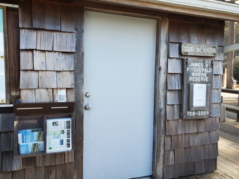 fitzgerald marine reserve moss beach fitzgerald marine reserve moss beach