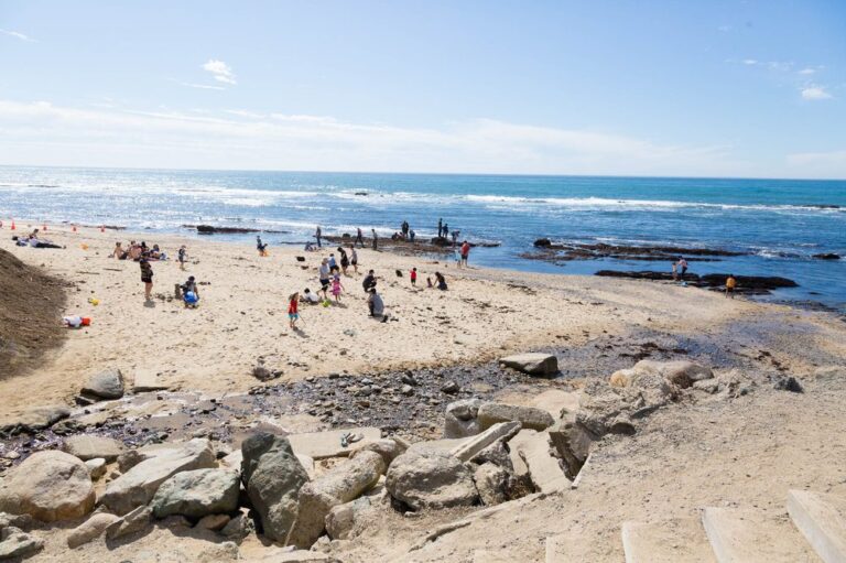 fitzgerald marine reserve moss beach