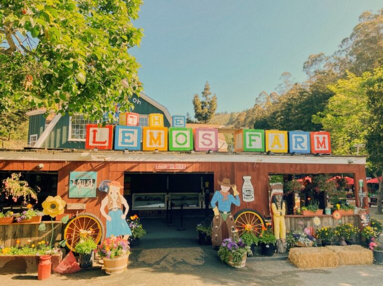 lemos farm half moon bay