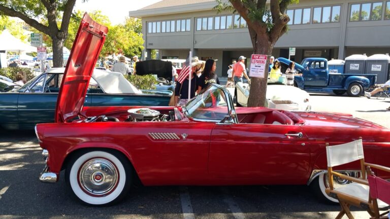 los altos fall festival los altos