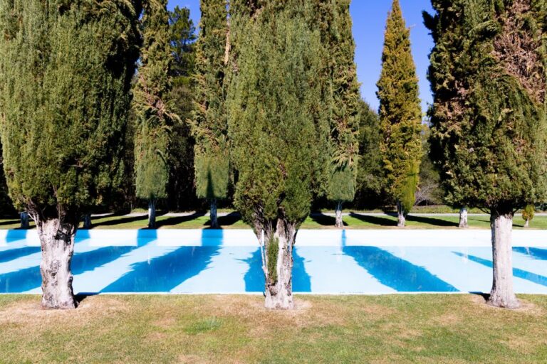 pulgas water temple redwood city 2