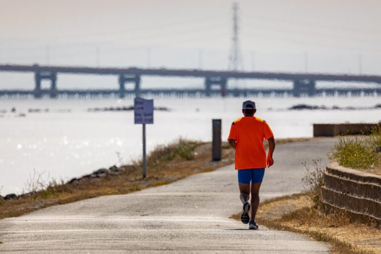 seal point park san mateo