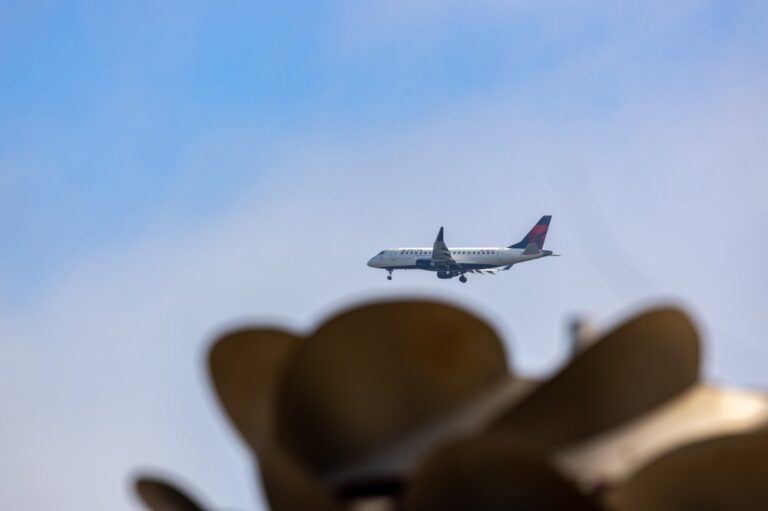seal point park san mateo