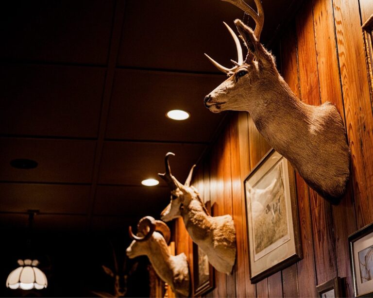 the mountain house woodside 2 the mountain house woodside 2