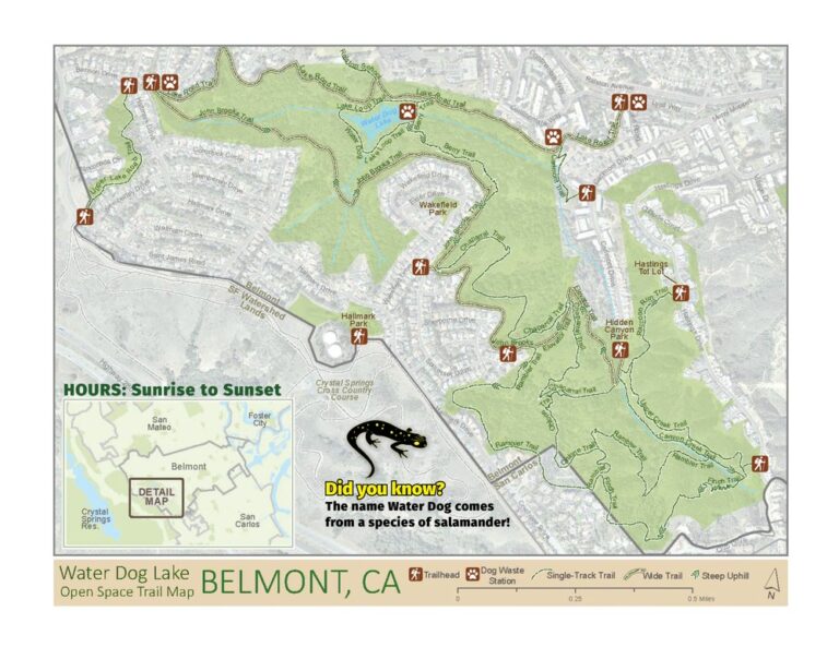 waterdog lake and open space belmont