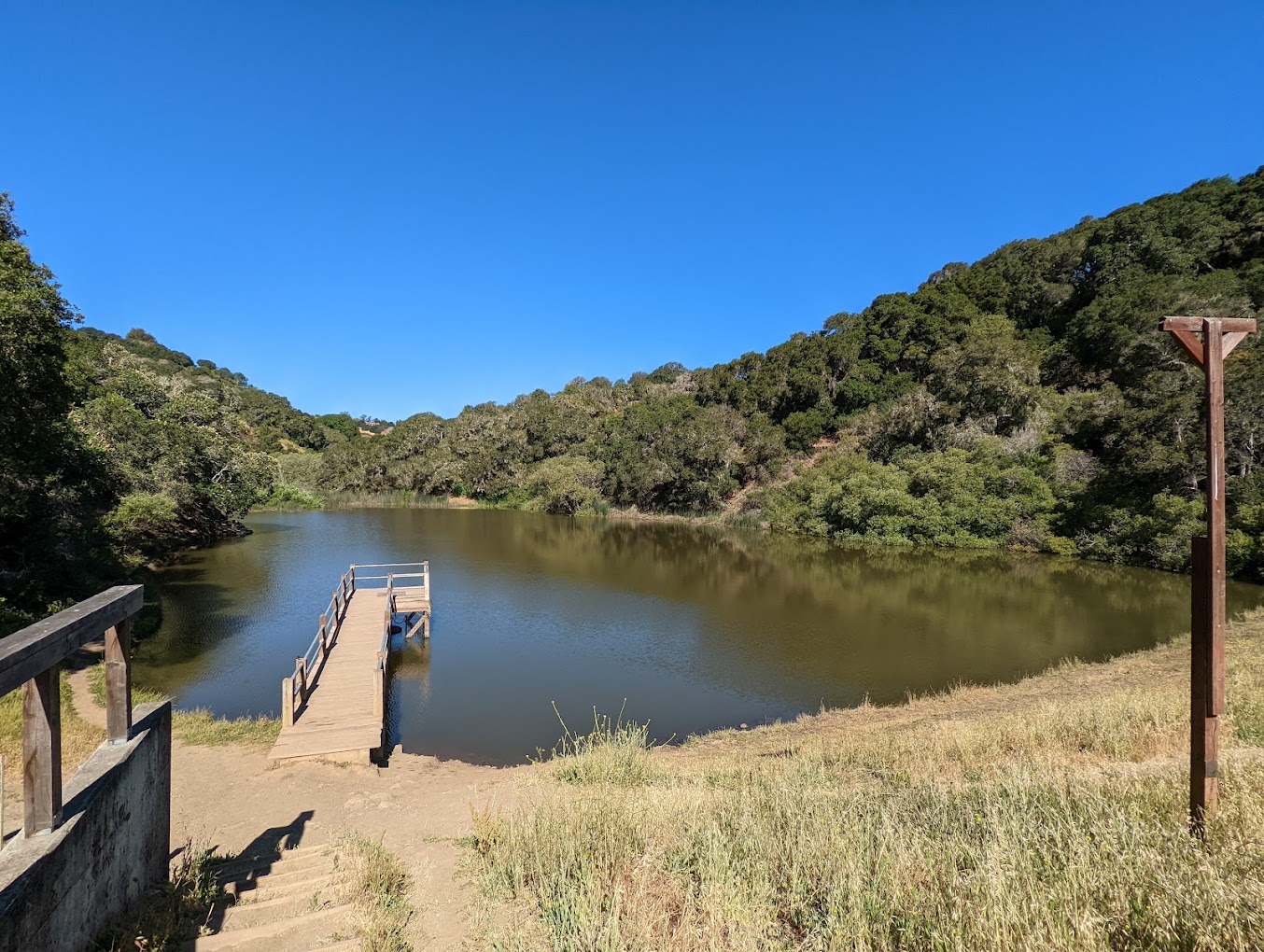 waterdog lake