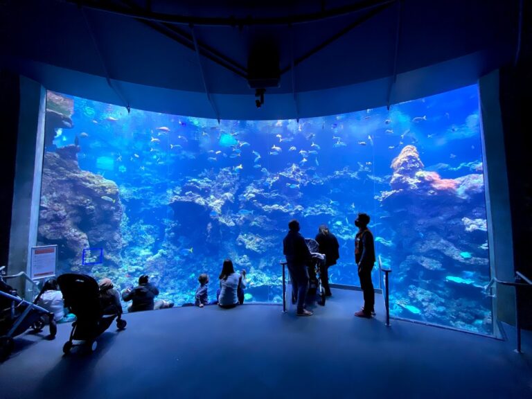 California Academy of Sciences 768x576