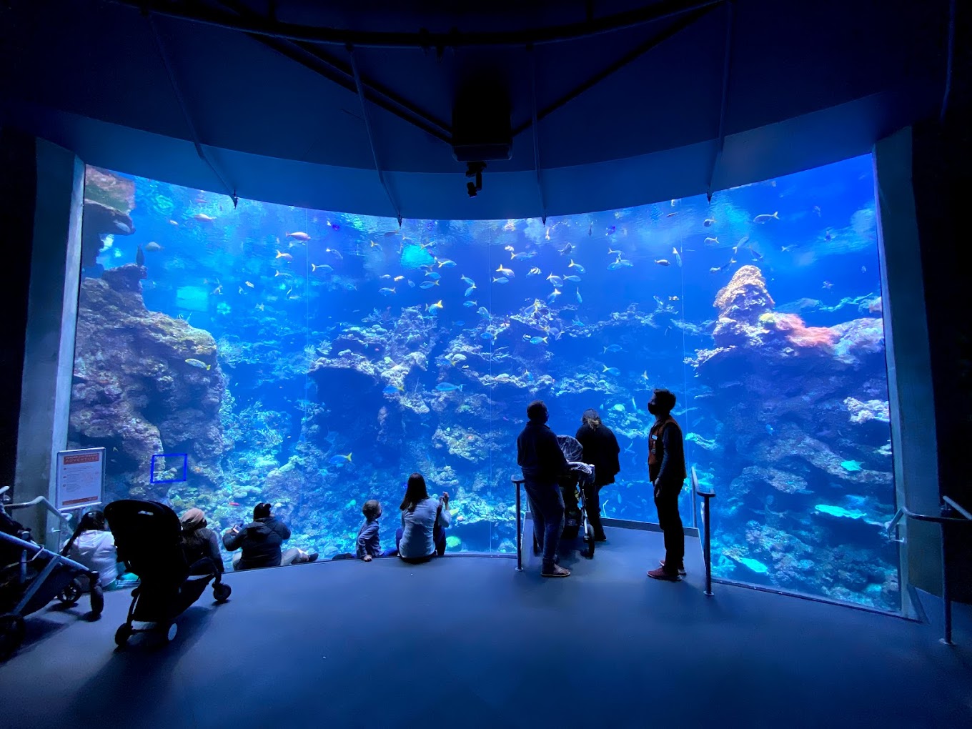 California Academy of Sciences