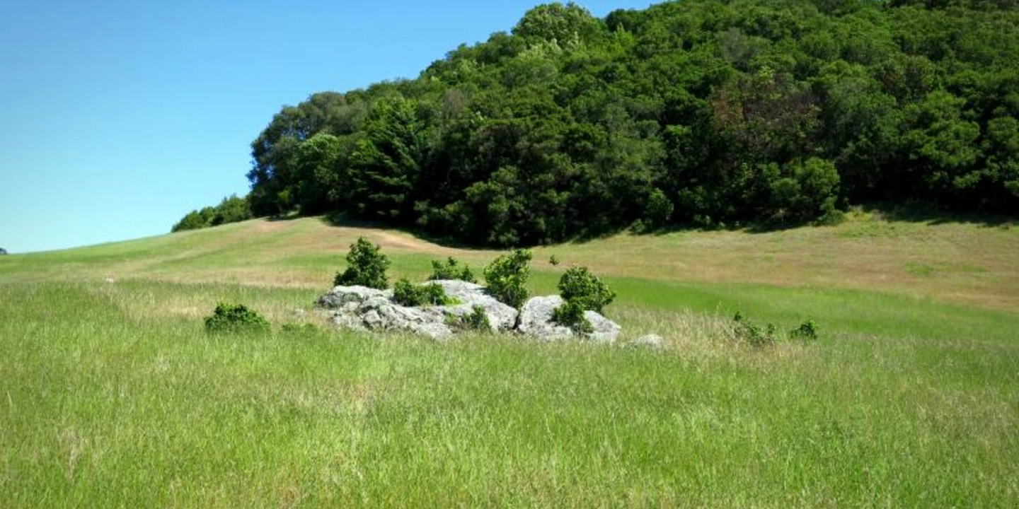 Edgewood Park Natural Preserve