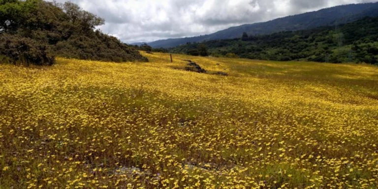 Edgewood Park Natural Preserve1 768x384
