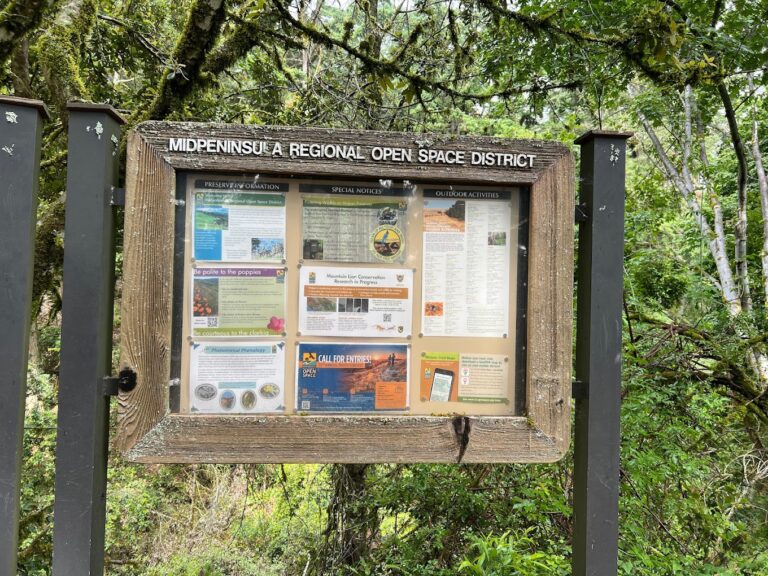 El Corte de Madera Creek Preserve2 768x576