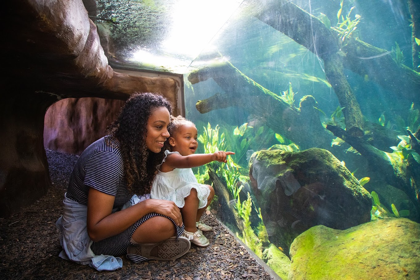 Palo Alto Junior Museum and Zoo