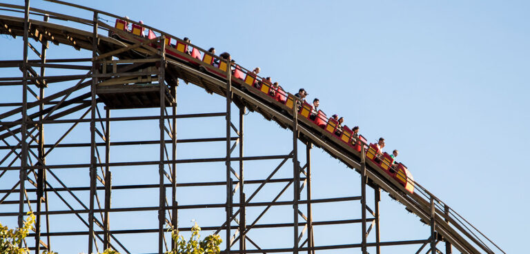 cga grizzly bannerv2 768x368