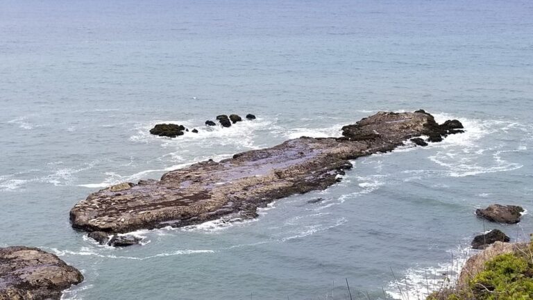 cowell purisima coastal trail half moon bay cowell purisima coastal trail half moon bay