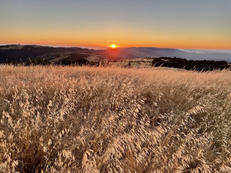 monte bello open space preserve palo alto monte bello open space preserve palo alto