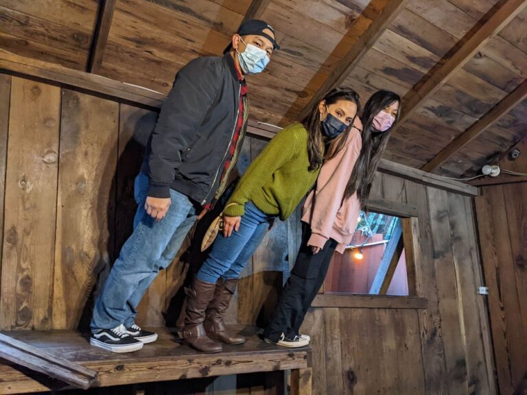 mystery spot santa cruz