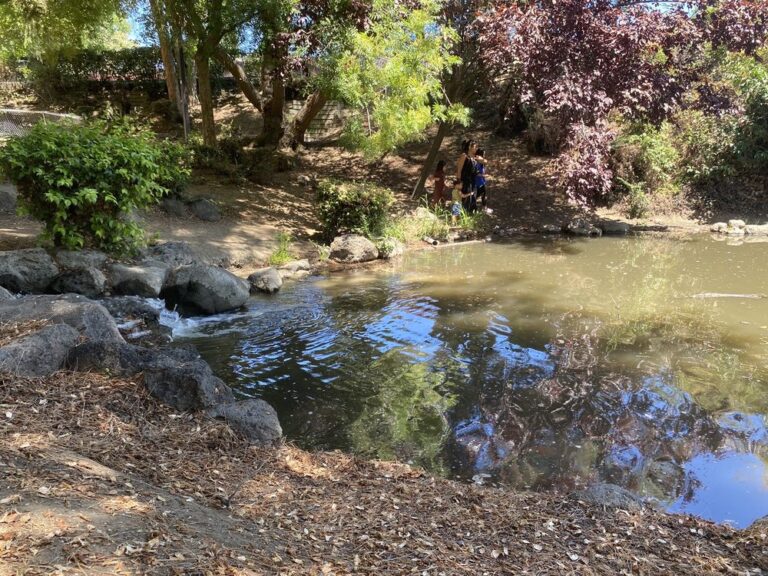 small world park pittsburg