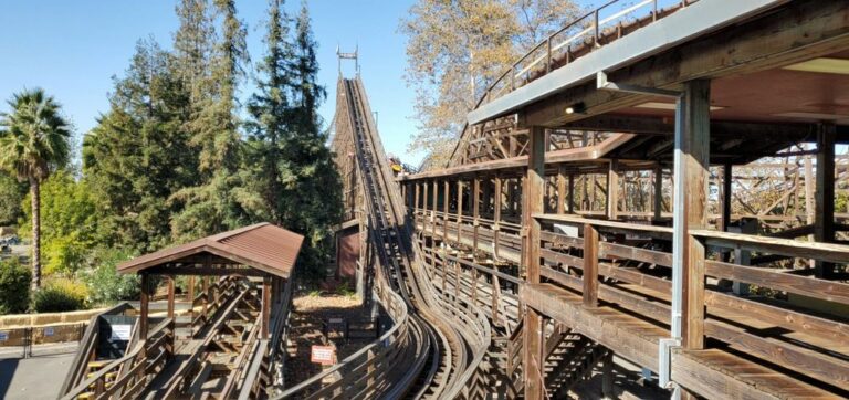 the grizzly santa clara the grizzly santa clara