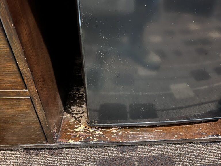 the zen hotel palo alto the zen hotel palo alto