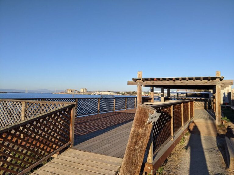 marine science institute redwood city