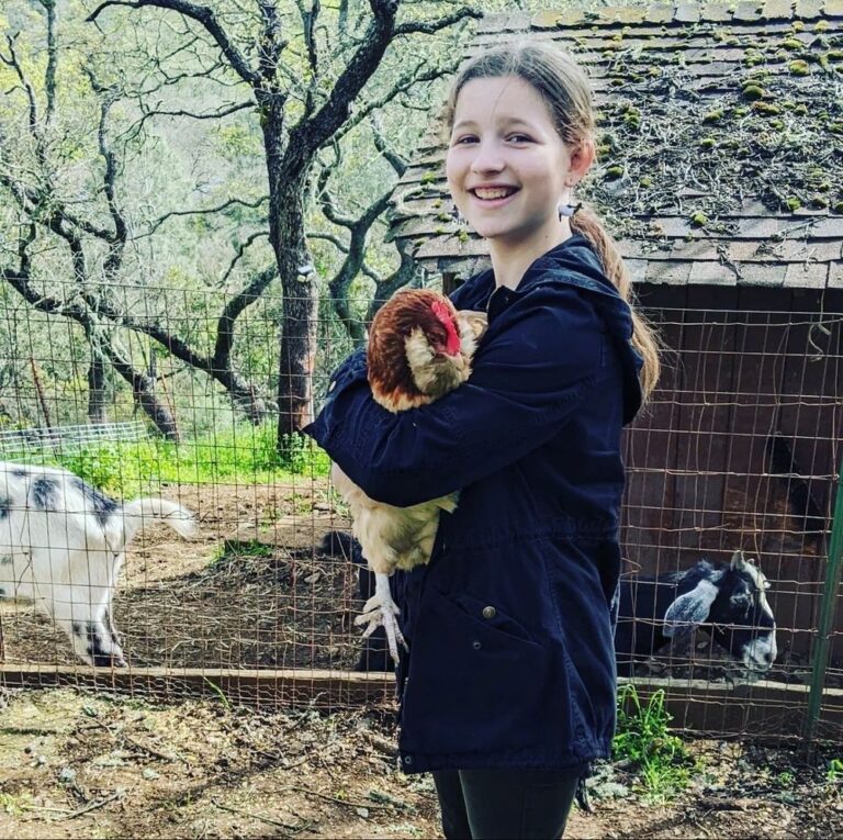 weinberger homestead and animal experience morgan hill 4